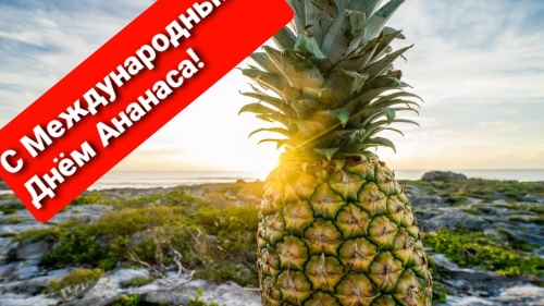 Картинки с Днем ананаса (46 открыток). Картинки с надписями и поздравлениями на Всемирный день ананаса